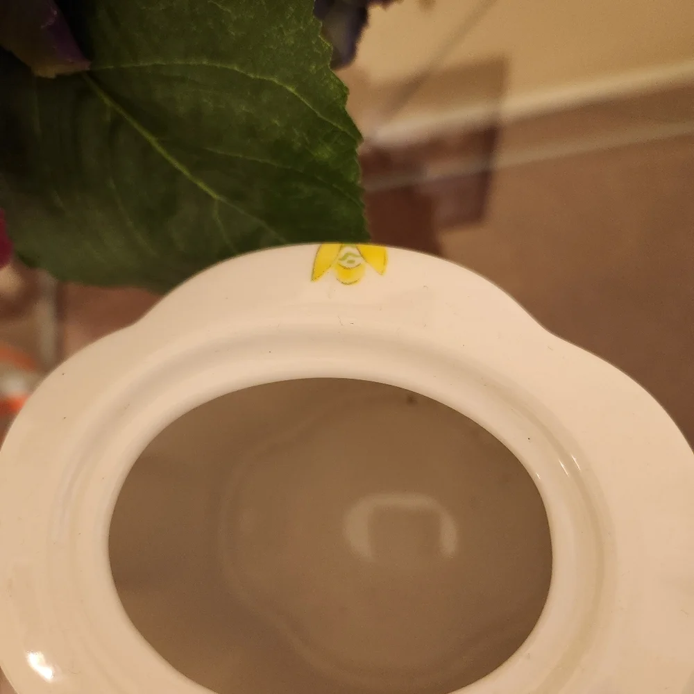 Pier 1 Imports Dolomite Lyda Teapot Never Used